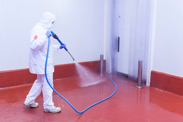 Best Spring Cleaning  in Bryant, AR